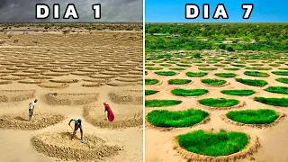 Cómo el Desierto del Sahara se está Transformando en un Oasis Agrícola