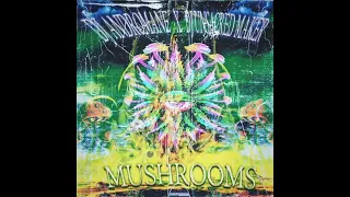 DJ UNSACRED MAKER X DJ ANDROMANE - MUSHROOMS (TENNGAGE TYPE BEAT)