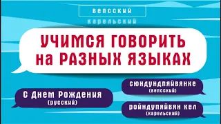 Как поздравить с днем рождения на разных языках