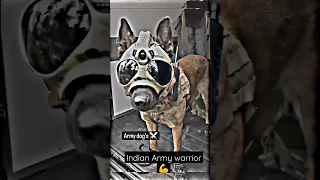 Indian Army 🐶 dog training video Army Dog#armydog#short #indian #armystatus 🔥
