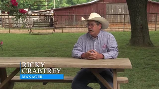 Rock Bottom Chuck Wagon Races