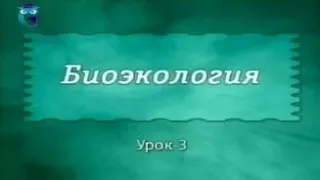 Экология. Урок 3. Классификация экологических факторов. Абиотические экологические факторы