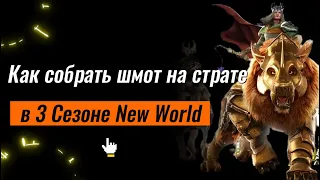 Что делать на старте  3 сезона New World, чтобы собрать весь необходимый шмот?