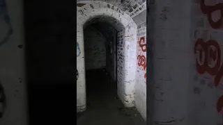 we explored a world war 2 battery tunnel #abandoned #explore #worldwar2 #shorts