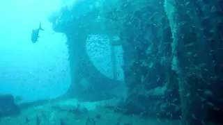 Diving Offshore NC Caribsea Wreck