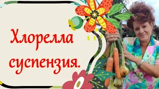 Хлорелла, суспензия.