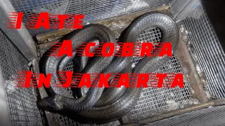 🐍 I ate a COBRA in Jakarta 🐍 !eating snake satè in Indonesia!