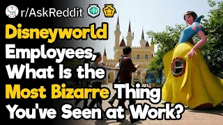 Weirdest Things That Happened at Disneyworld