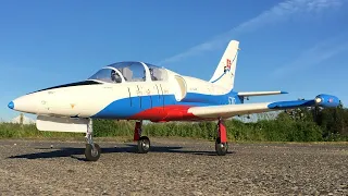 Freewing L-39 Albatros High Performance 80mm EDF Jet