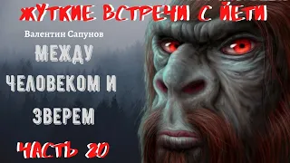 Жуткие встречи с Йети.Между Человеком и Зверем Ч.20.ПОСЛЕДНИЕ НАХОДКИ.