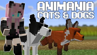 Обзор мода "Animania Cats & Dogs"//НОВЫЕ ЖИВОТНЫЕ