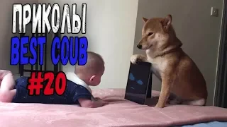 #ПРИКОЛЫ за Май 2018 | BEST COUB 2018 ▶ 20