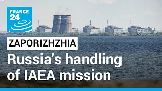 Zelensky criticises Russia's handling of IAEA mission • FRANCE 24 English