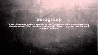 Medical vocabulary: What does Serogroup mean