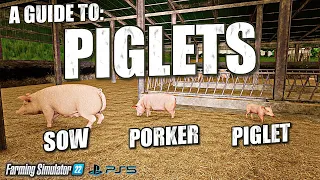 A Guide To: Piglets on Console - Ballyspring - Farming Simulator 22 - PS5.