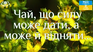 Чай, що силу може дати, а може й відняти