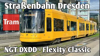 Straßenbahn Dresden - Baureihe NGT DXDD | DVB 2023