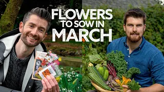 What Flowers To Sow in March with @HuwRichards | Flowers to Sow in Spring | What to Sow Now