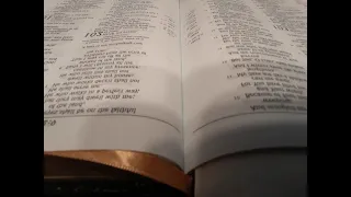 Day 126 - Psalms 89, 96, 100, 101, 105, 132 JUST THE WORD