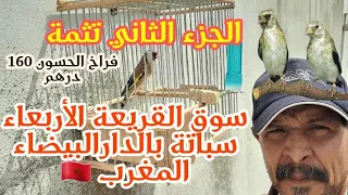 يوم الأربعاء 24 ماي 2023فراخ الحسون القورع دكور 160 درهم الولعة مع قناة الطيورالشريفة المغرب 🇲🇦