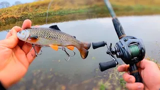 Winter Lure Fishing for Pike! (With the Savage gear Pulsetail Trout)