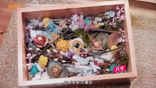 【2021網購優惠】查小欣衷心推薦！才華廚師Horace時令設計懷石料理 │ 網購Power Up獨家限量發售 「夢之懷石初嘗版」 │ 麥華章 │ 【生活Power UP】