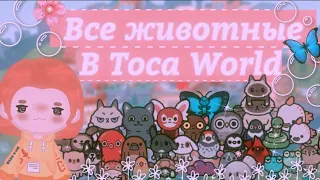 •|🦋🌸Все животные в Toca World 🌸🦋|•|🦋🌸Где найти всех животных в тока бока?🌸🦋|•|TocaBoca//TocaWorld|•