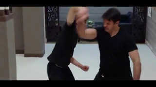 Aikido fighting scenes