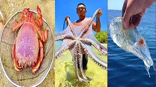 Catching Seafood 🦀🐙 ASMR Relaxing (Catch Shark , Catch Fish ,Deep Sea Monster ) - Tik Tok #386