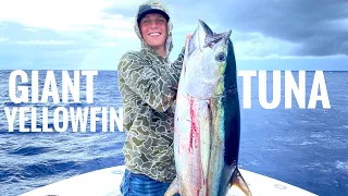 Catching Massive yellowfin tuna in the Bahamas!!!