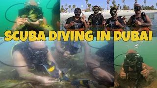 Dubai d Scuba Diving da Experiance 😍