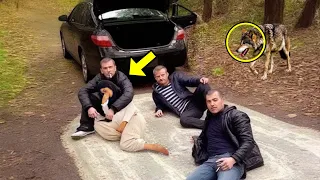 Sie brachten schwangere Frau in den Wald, um ihr zu schaden, dann erschien ein Wolf und tat DIES!