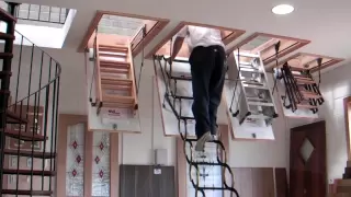 Murphy Larkin Attic Stairs, Attic ladders