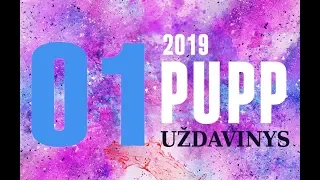 01 uždavinys | PUPP 2019