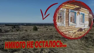 небольшая всеми заброшенная деревня одиноко стоит в огромном поле ,раньше тут жил пасечник .