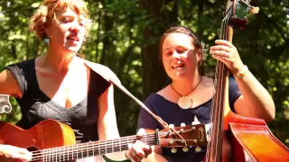 Foghorn Stringband - Mining Camp Blues (Live at Pickathon)