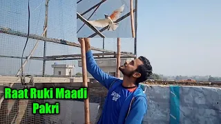 Babar Bhai Ne Raat Ruki Maadi Pakri || Pigeons Club