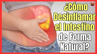 ⏰ HOW TO DEFLAMATE THE LARGE AND SMALL INTESTINE NATURALLY? ⏰