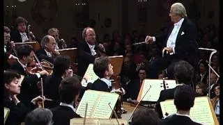 Bruckner: Symphony No. 7 (excerpt)