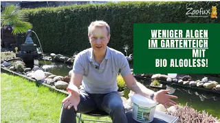 AQUASAN BIO Algoless: Biologische Algenbekämpfung im Gartenteich ohne Algizid & Fadenalgenvernichter