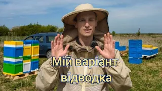 Як зробити відводок бджіл? Відводок проти роїння на маточник та матку. Коли класти маточник?