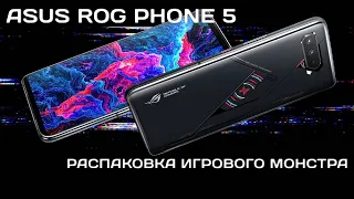 ASUS ROG Phone 5 распаковка игрового монстра