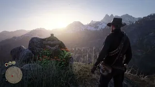 *SPOILERS* RDR2 100% Completion Scene