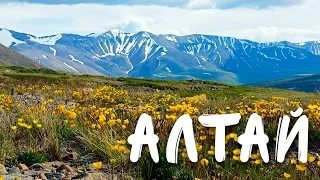 Алтай | Тропою алтайских козерогов | Altai Nature Reserve