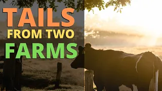 Tails From Two Farms - Air Rifle Pest Control