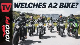 Welches A2 Motorrad soll ich kaufen? - Kategorien im Überblick anhand der Kawasakipalette 2021