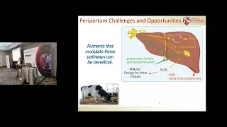 New Insights from University of Wisc. Transition Cow Research with Dr. Heather White, Univ. of Wisc.