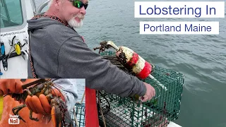 Lobster Fishing In Portland Maine