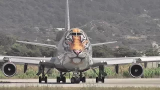 Tiger Boeing take-off