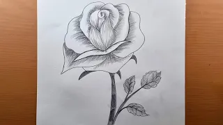 Como desenhar uma rosa passo a passo | ROSE Desenho Fácil 🌹